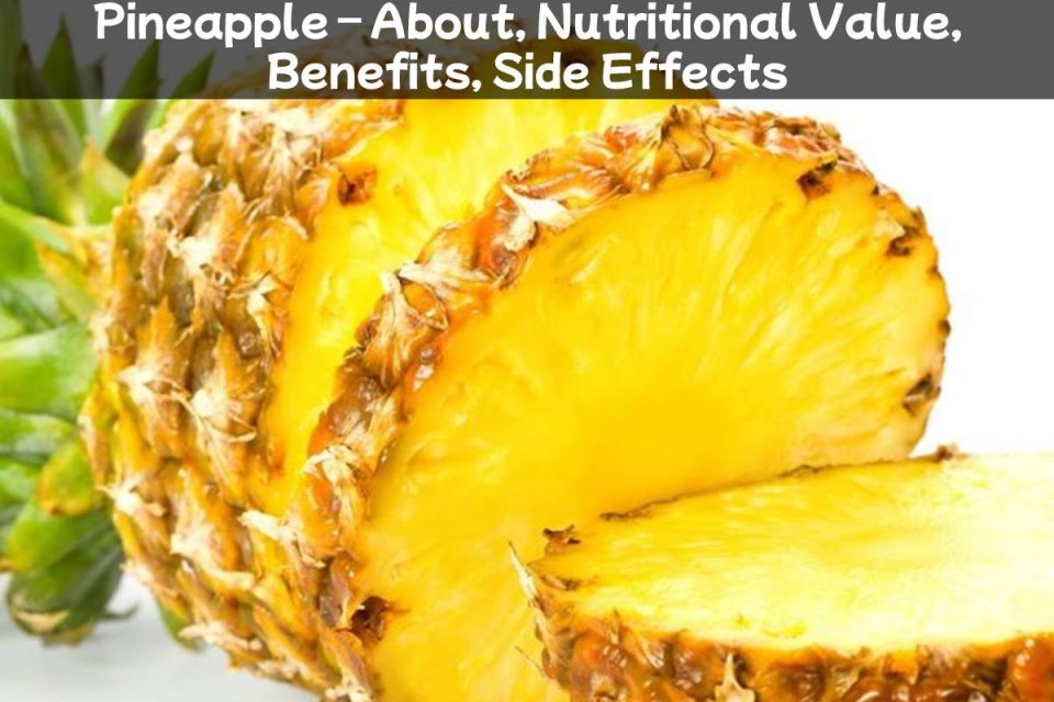 Pineapple – About, Nutritional Value, Benefits, Side Effects