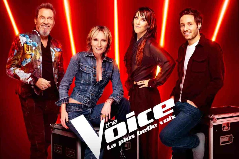 The Voice _ La Plus Belle Voix – French Series Overview